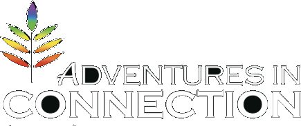 Adventures in Connection